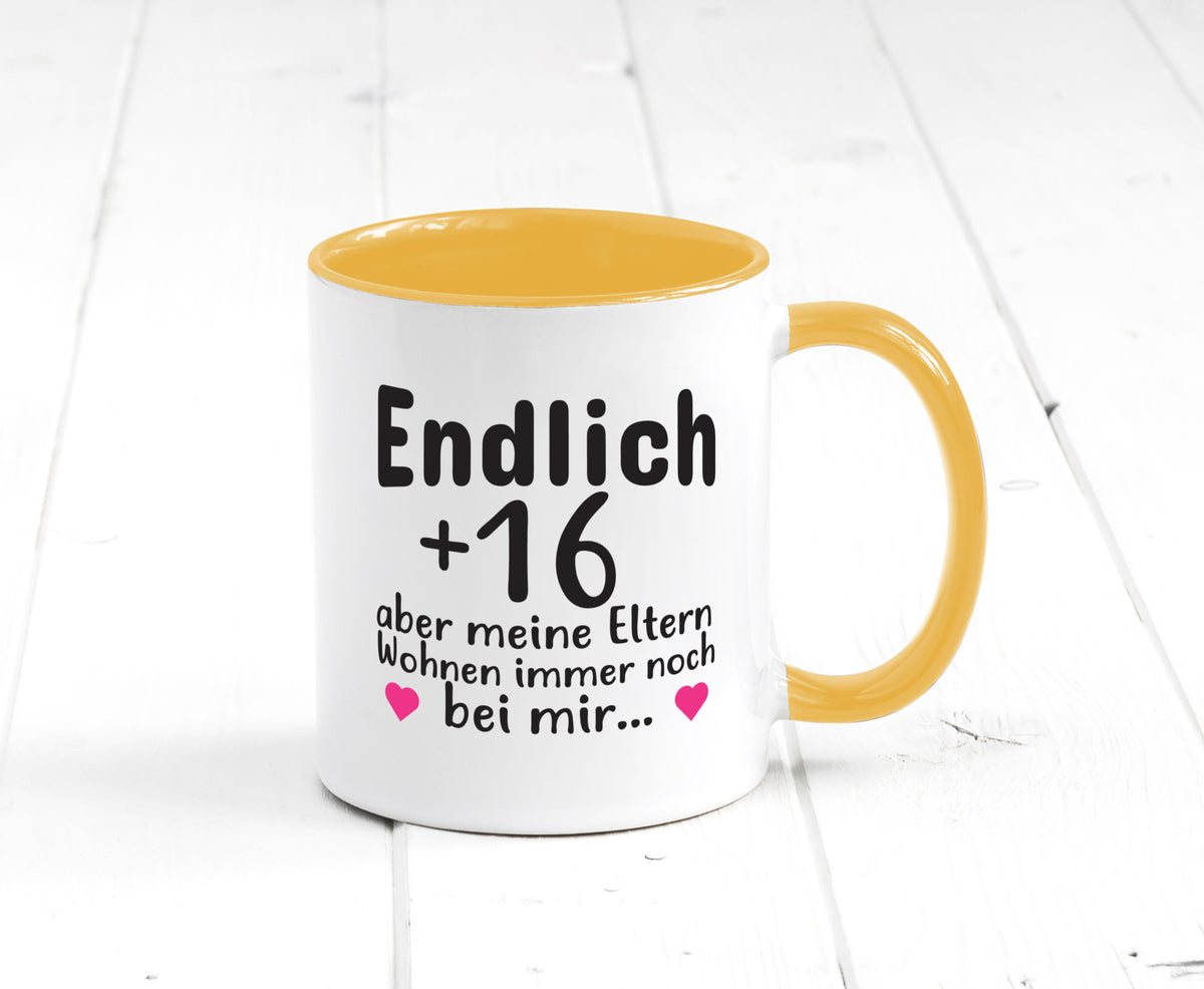 Endlich 16 | Geburtstag Tasse Spruch Mädchen Geschenkidee Humor