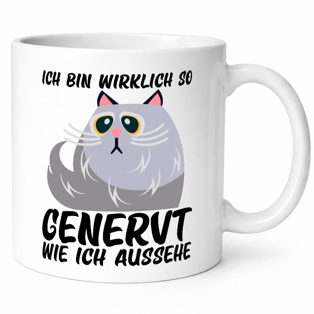 Ich bin wirklich so genervt | Teenager mürrische Katze lustig Tierliebhaber