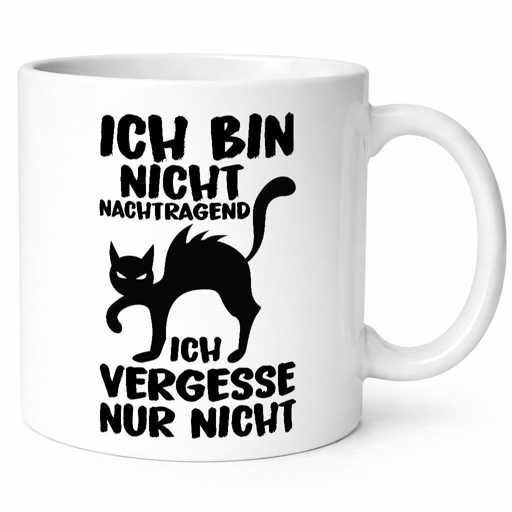 Ich vergesse nur nicht | Nachtragend böse Katze Comic Geschenk Tierliebhaber