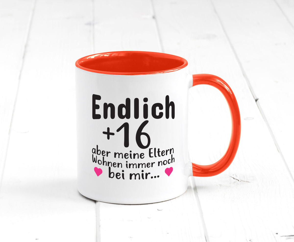Endlich 16 | Geburtstag Tasse Spruch Mädchen Geschenkidee Humor