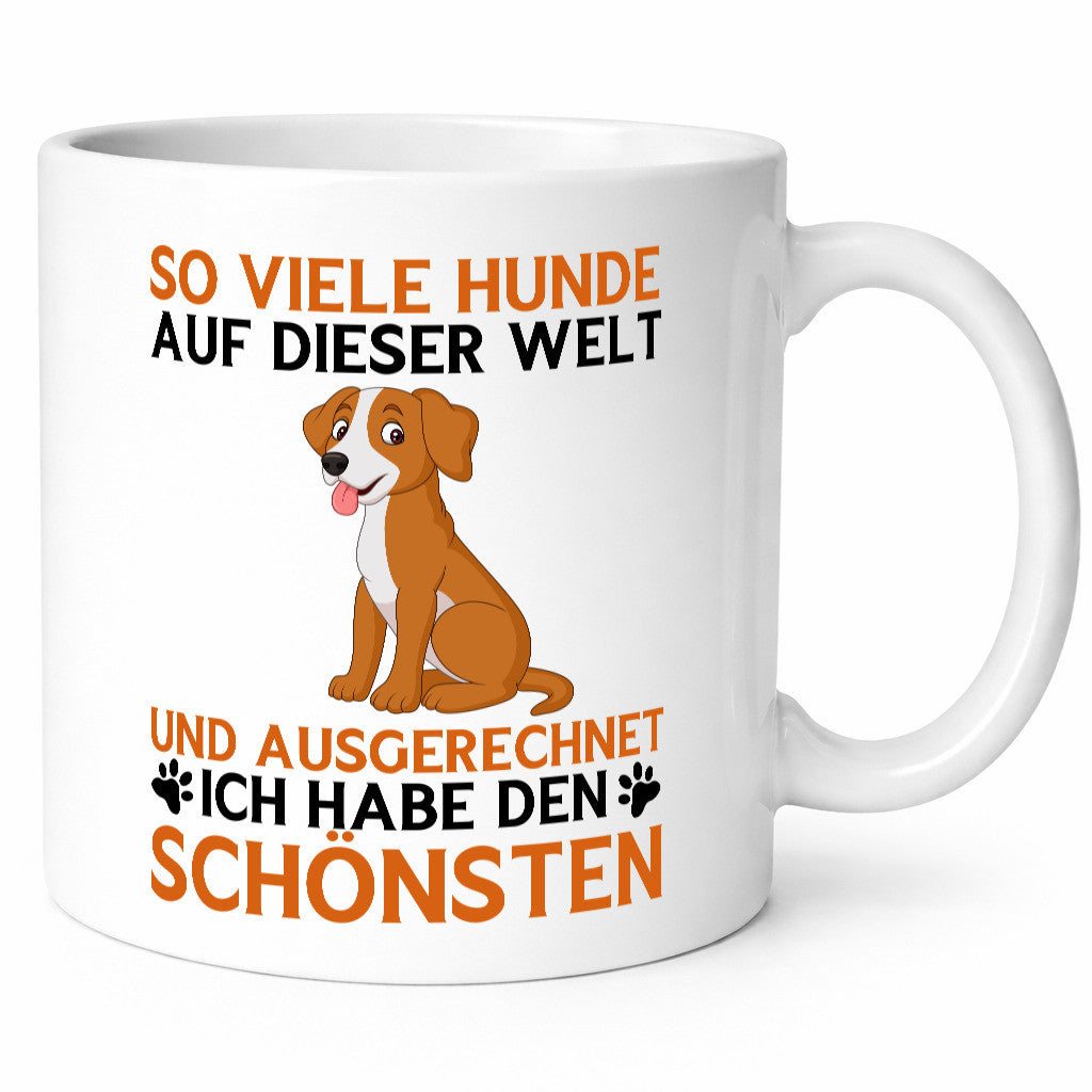 So viele Hunde | Ich hab den schönsten Hundeliebhaber lustiger Spruch Geschenk