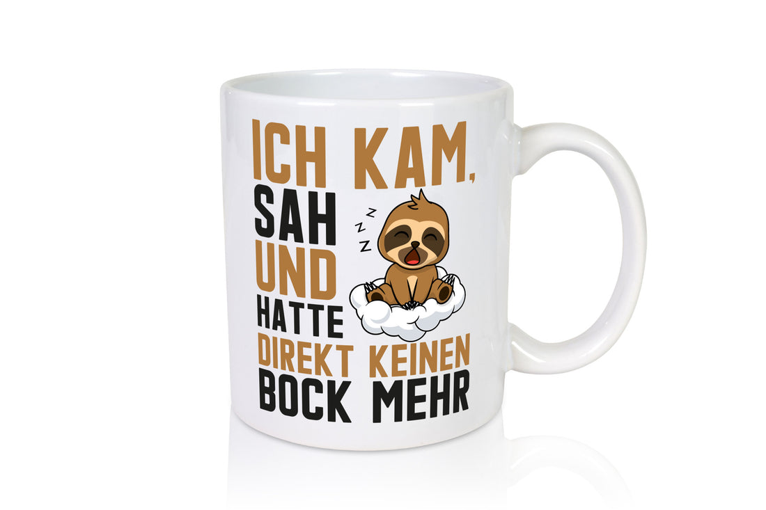 ich kam, sah und hatte keinen Bock | Faultier Müde Geschenk Tierliebhaber Humor