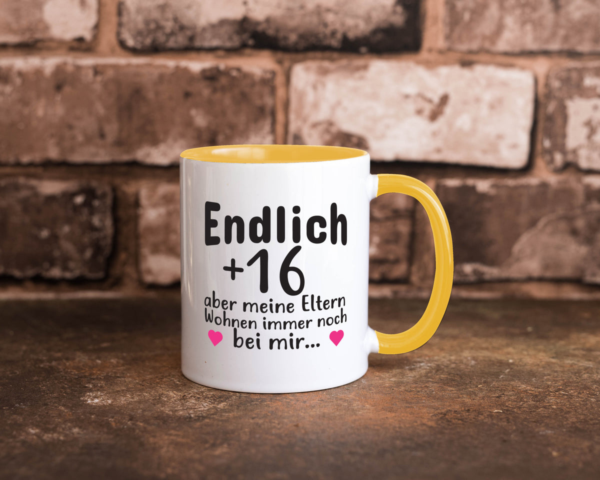 Endlich 16 | Geburtstag Tasse Spruch Mädchen Geschenkidee Humor