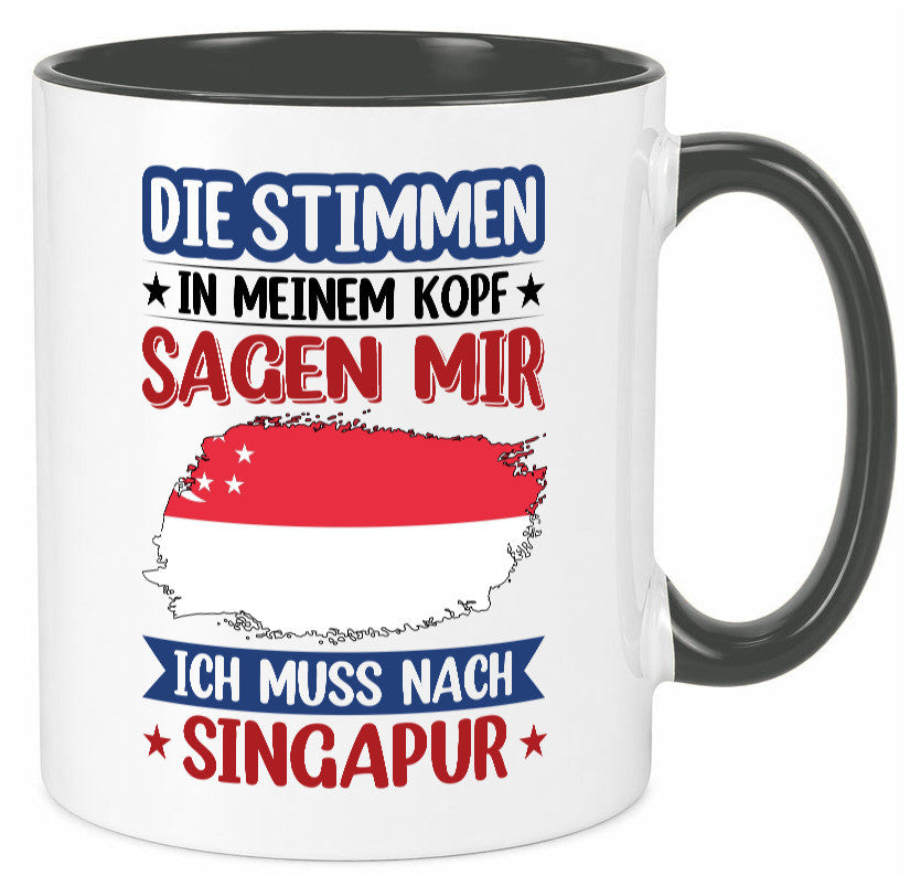 Singapur | Urlaub Stimmen in meinem Kopf Traumland v2 lustiger Spruch Geschenk