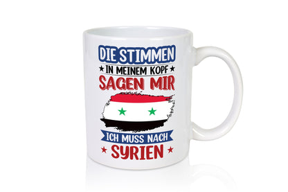 Syrien | Urlaub Stimmen in meinem Kopf Traumland v2 lustiger Spruch Geschenk