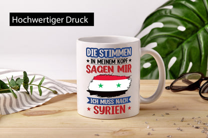 Syrien | Urlaub Stimmen in meinem Kopf Traumland v2 lustiger Spruch Geschenk