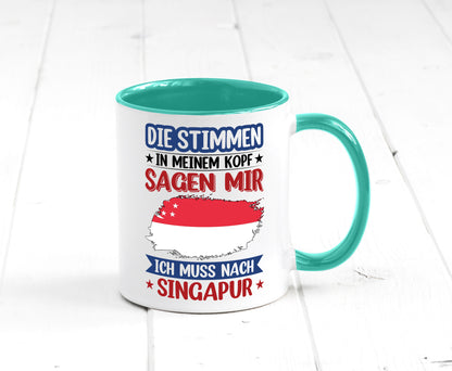 Singapur | Urlaub Stimmen in meinem Kopf Traumland v2 lustiger Spruch Geschenk