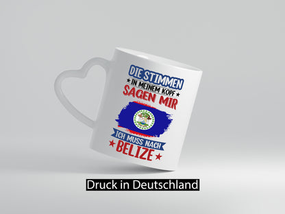 Belize | Urlaub Stimmen in meinem Kopf Traumland lustiger Spruch Geschenk Humor