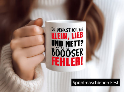 Am I nice? Humorous gift idea mug