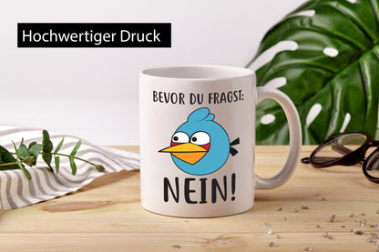 Before you ask, NO funny humor gift idea gift mug