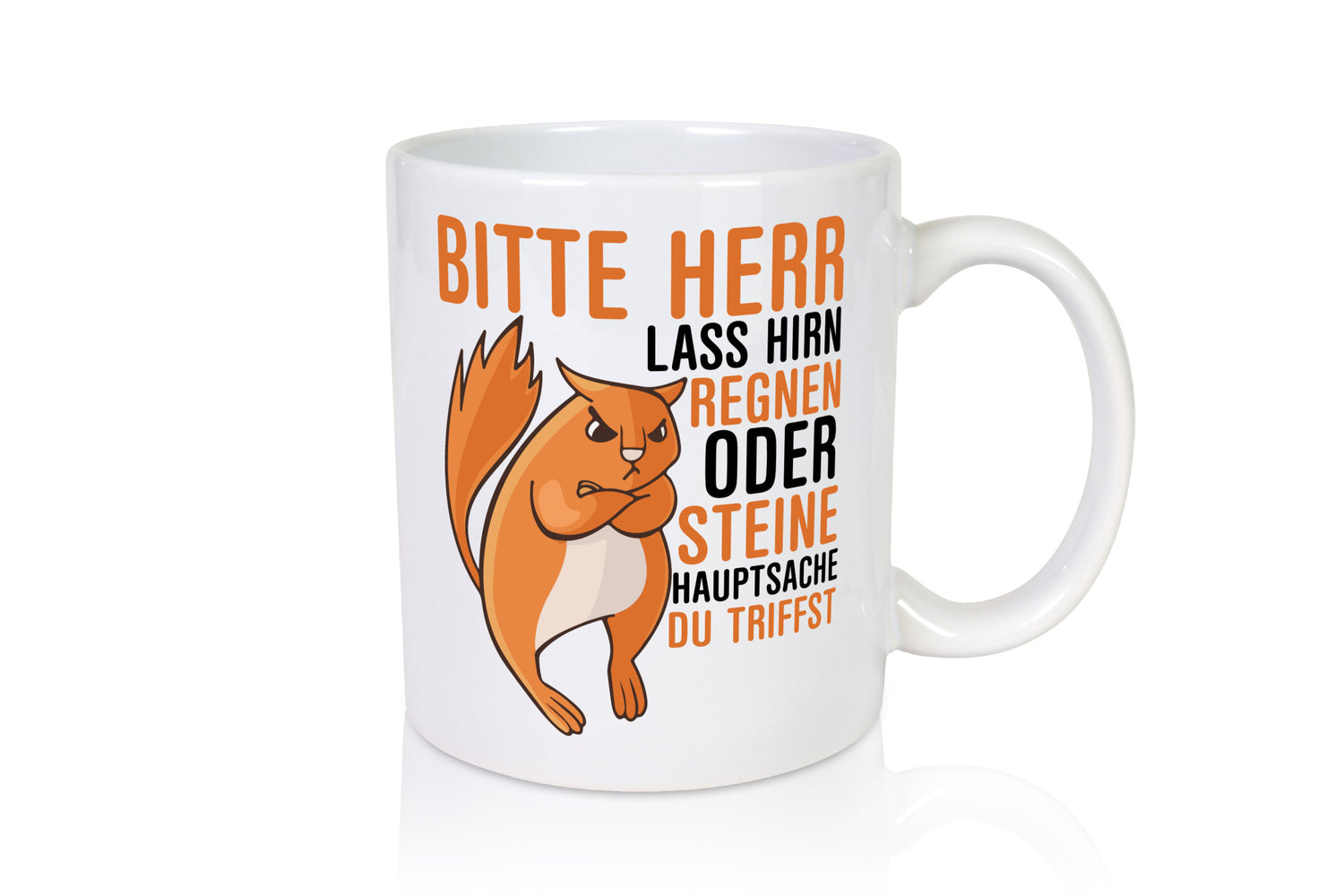 Herr lass Hirn regnen | wütendes Eichhörnchen Tier-Comic Humor Tierliebhaber