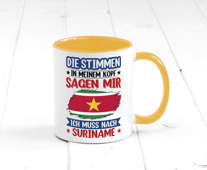 Suriname | Urlaub Stimmen in meinem Kopf Traumland v2 Geschenk Humor