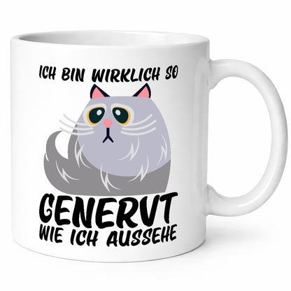 Ich bin wirklich so genervt | Teenager mürrische Katze lustig Tierliebhaber