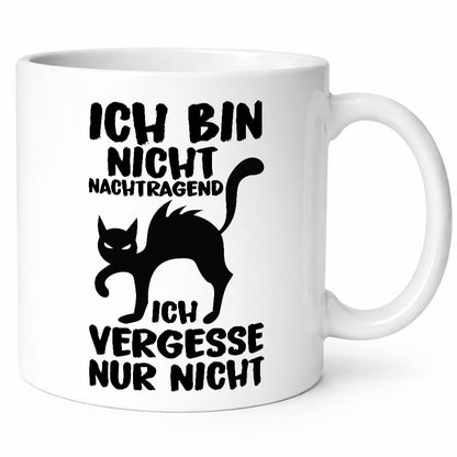 Ich vergesse nur nicht | Nachtragend böse Katze Comic Geschenk Tierliebhaber