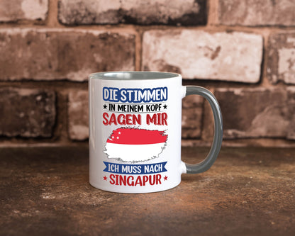 Singapur | Urlaub Stimmen in meinem Kopf Traumland v2 lustiger Spruch Geschenk