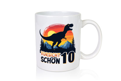 9. Geburtstag | 9 Jahre Dinosaurier v2 lustiger Spruch Geschenk Geschenkidee