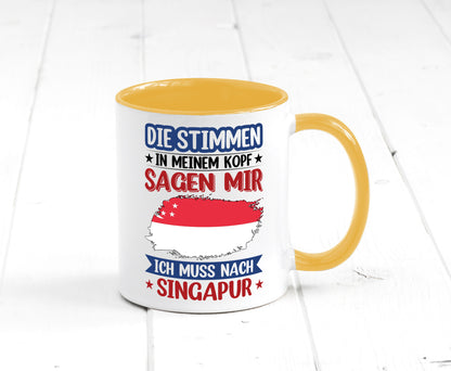 Singapur | Urlaub Stimmen in meinem Kopf Traumland v2 lustiger Spruch Geschenk