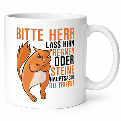 Herr lass Hirn regnen | wütendes Eichhörnchen Tier-Comic Humor Tierliebhaber