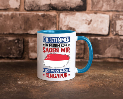 Singapur | Urlaub Stimmen in meinem Kopf Traumland v2 lustiger Spruch Geschenk