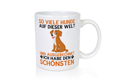 So viele Hunde | Ich hab den schönsten Hundeliebhaber lustiger Spruch Geschenk