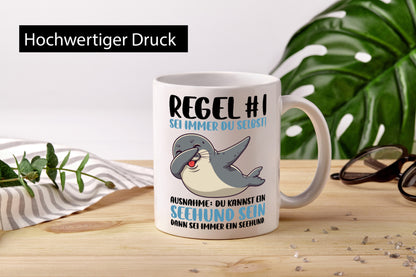 Regel Nr 