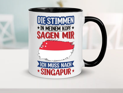 Singapur | Urlaub Stimmen in meinem Kopf Traumland v2 lustiger Spruch Geschenk