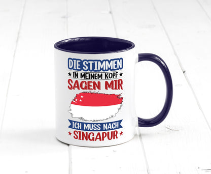 Singapur | Urlaub Stimmen in meinem Kopf Traumland v2 lustiger Spruch Geschenk