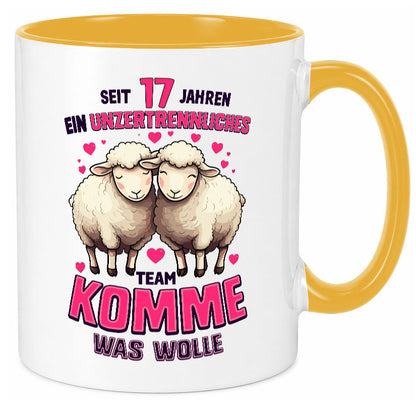 17 Jahre Verheiratet | ein Team Ehepaar v2 lustig Humor Geschenkidee Geschenk