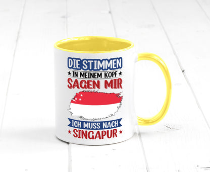 Singapur | Urlaub Stimmen in meinem Kopf Traumland v2 lustiger Spruch Geschenk