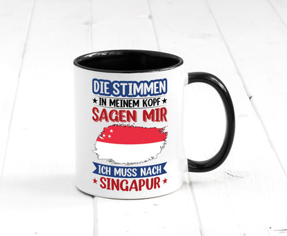 Singapur | Urlaub Stimmen in meinem Kopf Traumland v2 lustiger Spruch Geschenk