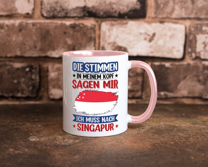 Singapur | Urlaub Stimmen in meinem Kopf Traumland v2 lustiger Spruch Geschenk
