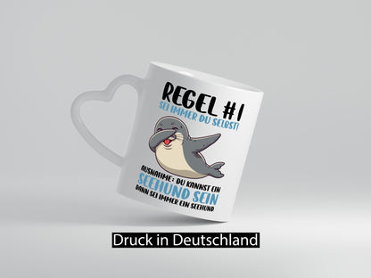 Regel Nr 