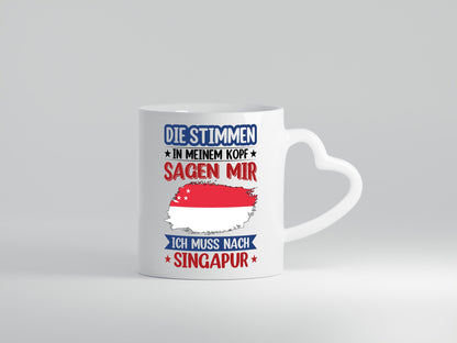 Singapur | Urlaub Stimmen in meinem Kopf Traumland v2 lustiger Spruch Geschenk