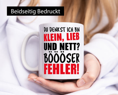 Am I nice? Humorous gift idea mug
