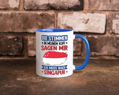 Singapur | Urlaub Stimmen in meinem Kopf Traumland v2 lustiger Spruch Geschenk