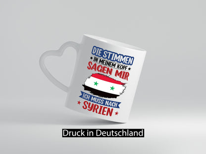 Syrien | Urlaub Stimmen in meinem Kopf Traumland v2 lustiger Spruch Geschenk