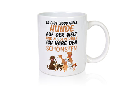 Ich habe den schönsten Hund | Hundebesitzer Hundeliebhaber lustig Tierliebhaber