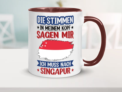 Singapur | Urlaub Stimmen in meinem Kopf Traumland v2 lustiger Spruch Geschenk
