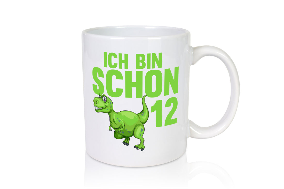12. Geburtstag | 12 Jahre Dino Dinosaurier lustiger Spruch Geschenk