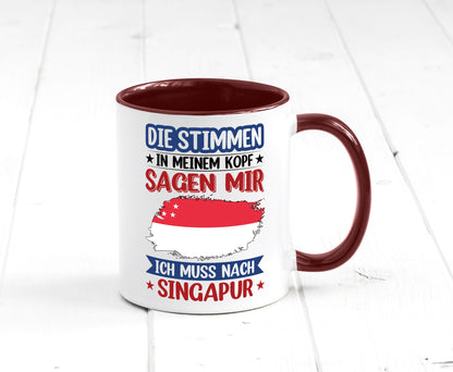 Singapur | Urlaub Stimmen in meinem Kopf Traumland v2 lustiger Spruch Geschenk