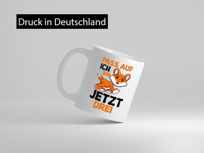 3. Geburtstag | Pass auf ich bin 3 Jähriger Geschenk Geschenkidee lustiger