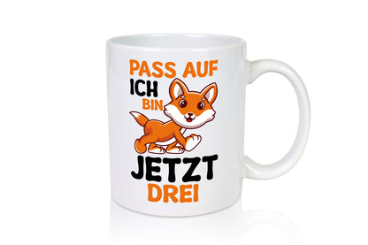 3. Geburtstag | Pass auf ich bin 3 Jähriger Geschenk Geschenkidee lustiger