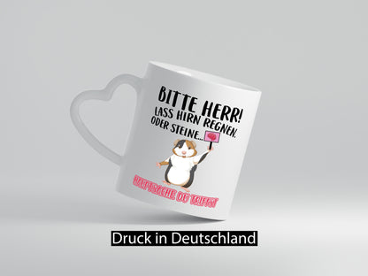 Lass Hirn regnen | Meerschweinchen Tasse Sarkasmus lustiger Spruch Geschenk