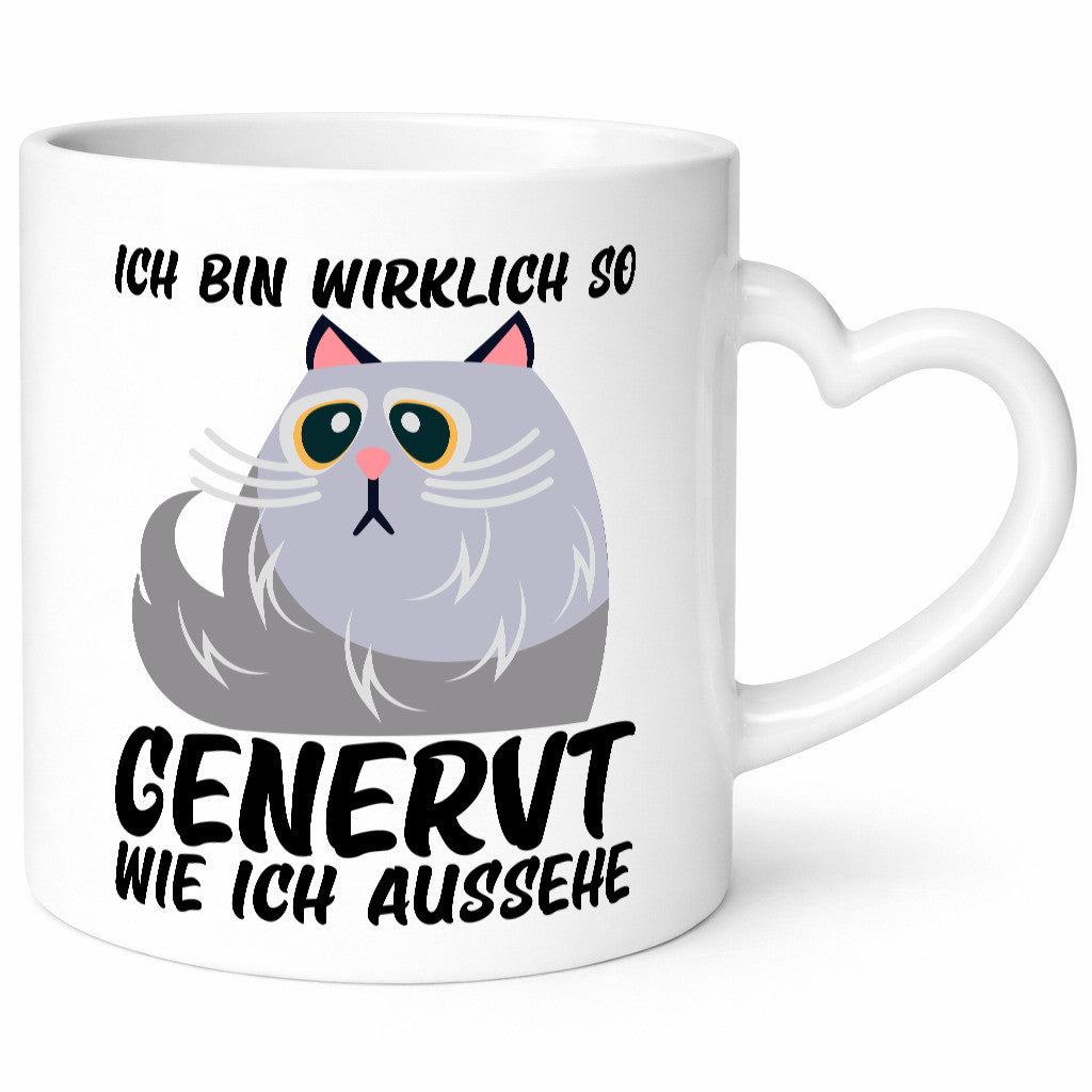 Ich bin wirklich so genervt | Teenager mürrische Katze lustig Tierliebhaber