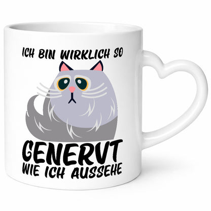 Ich bin wirklich so genervt | Teenager mürrische Katze lustig Tierliebhaber