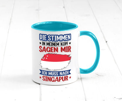 Singapur | Urlaub Stimmen in meinem Kopf Traumland v2 lustiger Spruch Geschenk