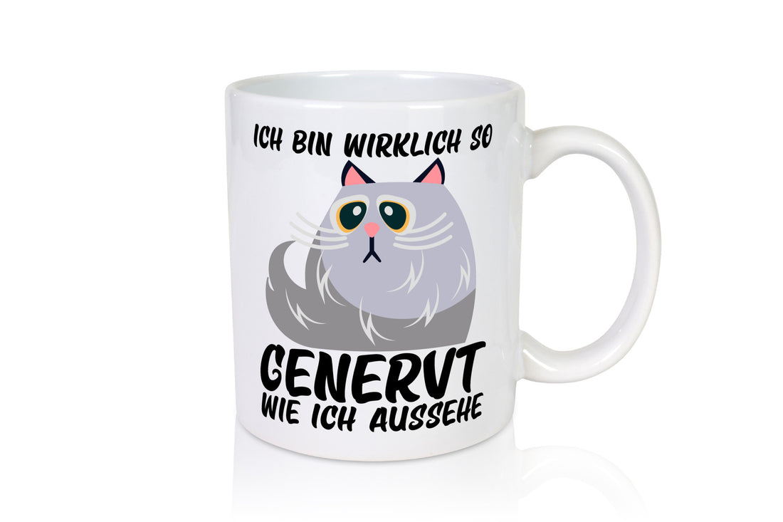 Ich bin wirklich so genervt | Teenager mürrische Katze lustig Tierliebhaber