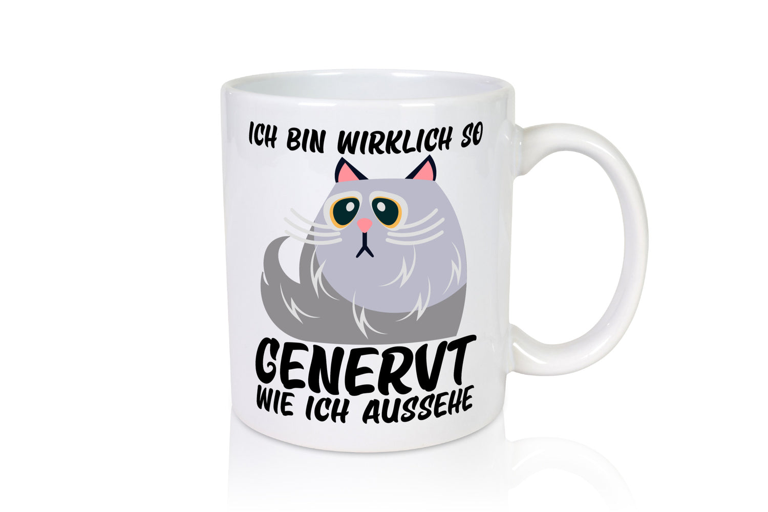 Ich bin wirklich so genervt | Teenager mürrische Katze lustig Tierliebhaber