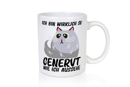 Ich bin wirklich so genervt | Teenager mürrische Katze lustig Tierliebhaber