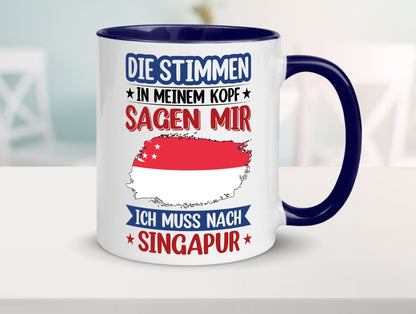 Singapur | Urlaub Stimmen in meinem Kopf Traumland v2 lustiger Spruch Geschenk
